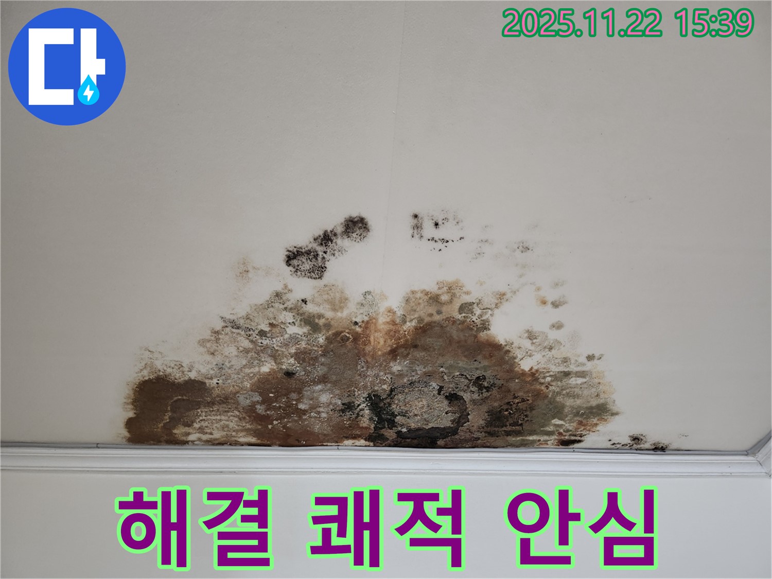 용강동 아파트 천장 - 곰팡이 누수, 완벽 해결! 쾌적한 공간에서 안심 생활!