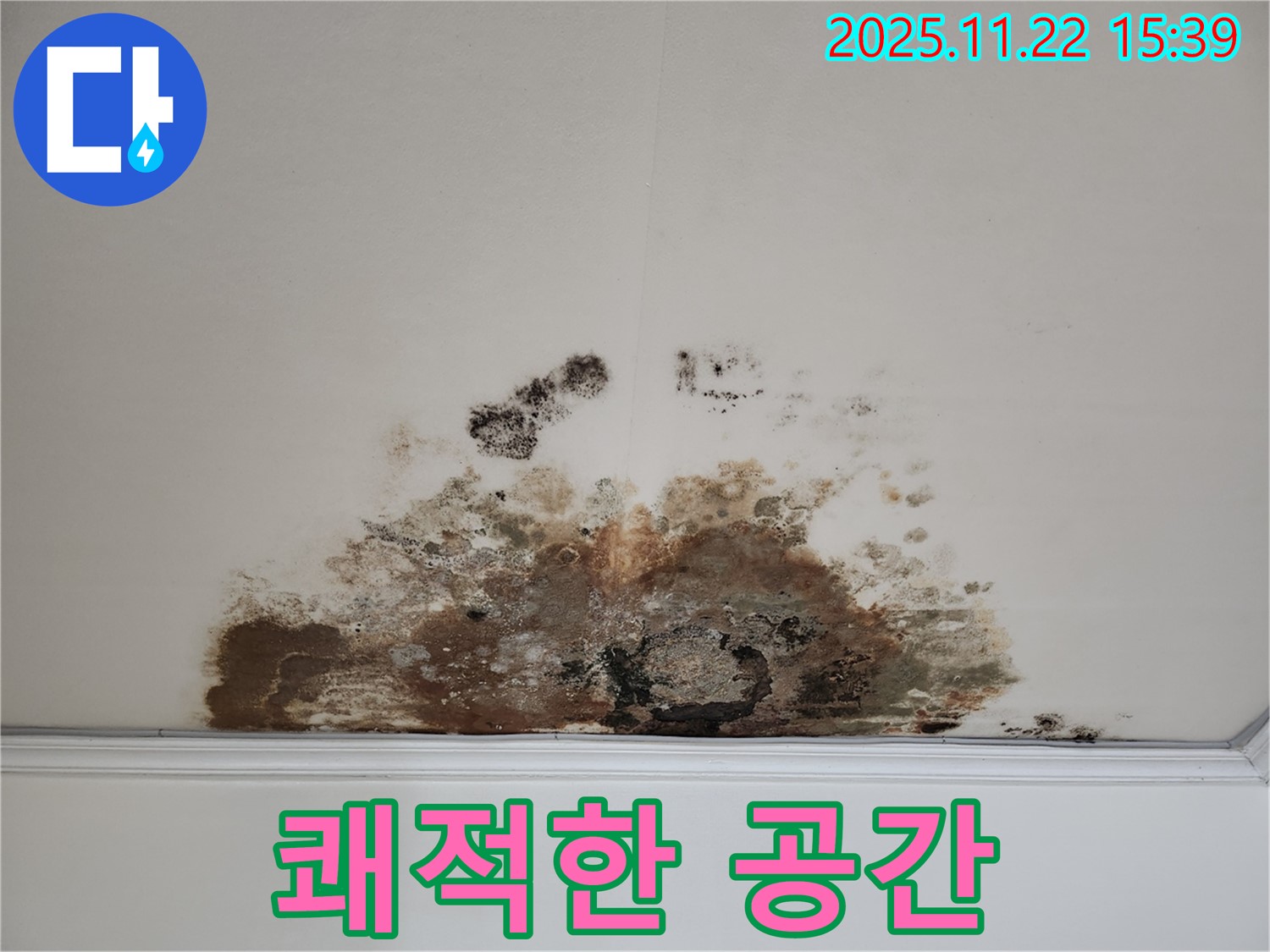 용강동 아파트 천장 - 곰팡이 누수 해결 후 쾌적한 공간으로