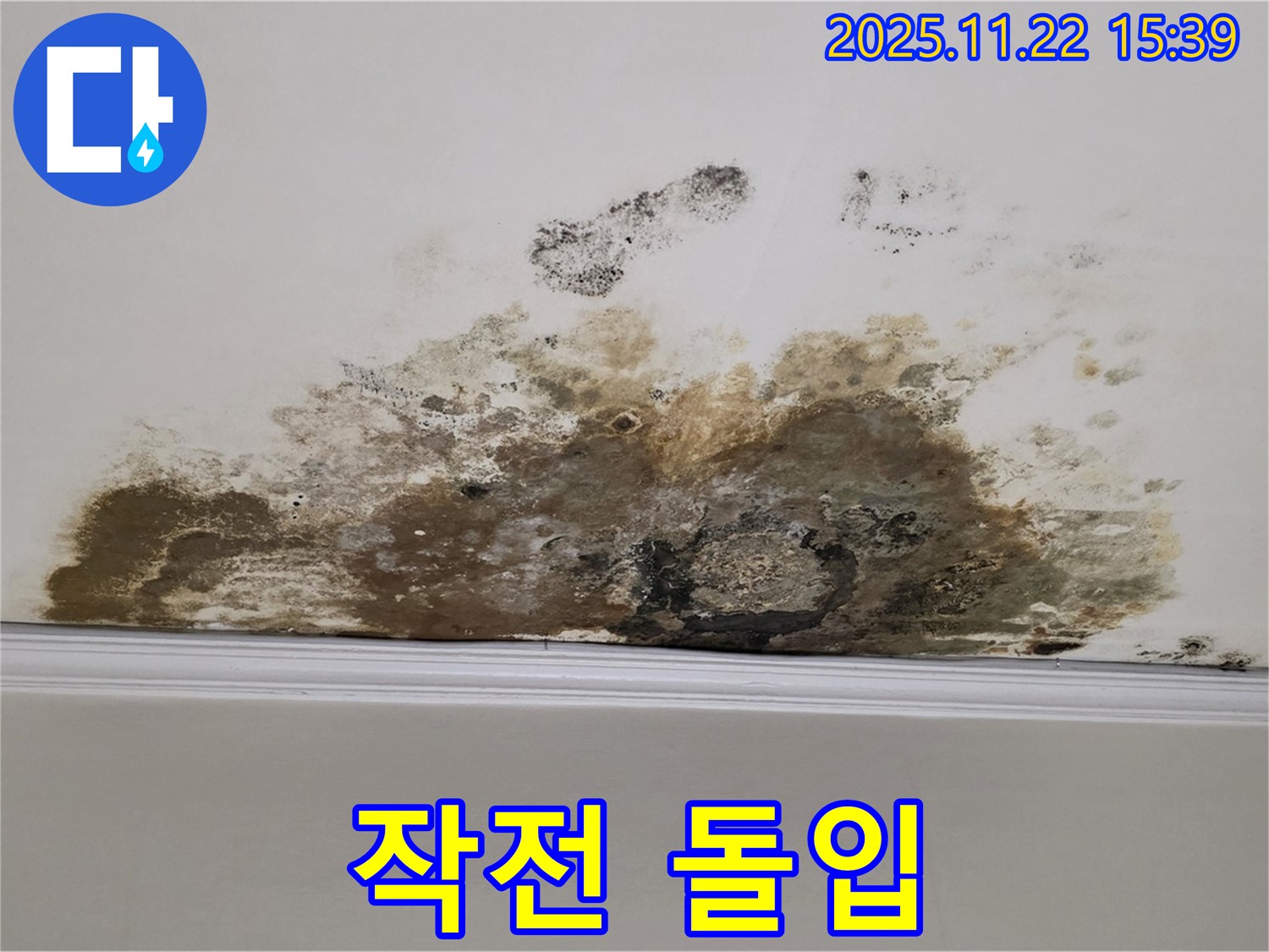 용강동 아파트 천장 누수 - 곰팡이 폭탄 제거 작전 돌입!