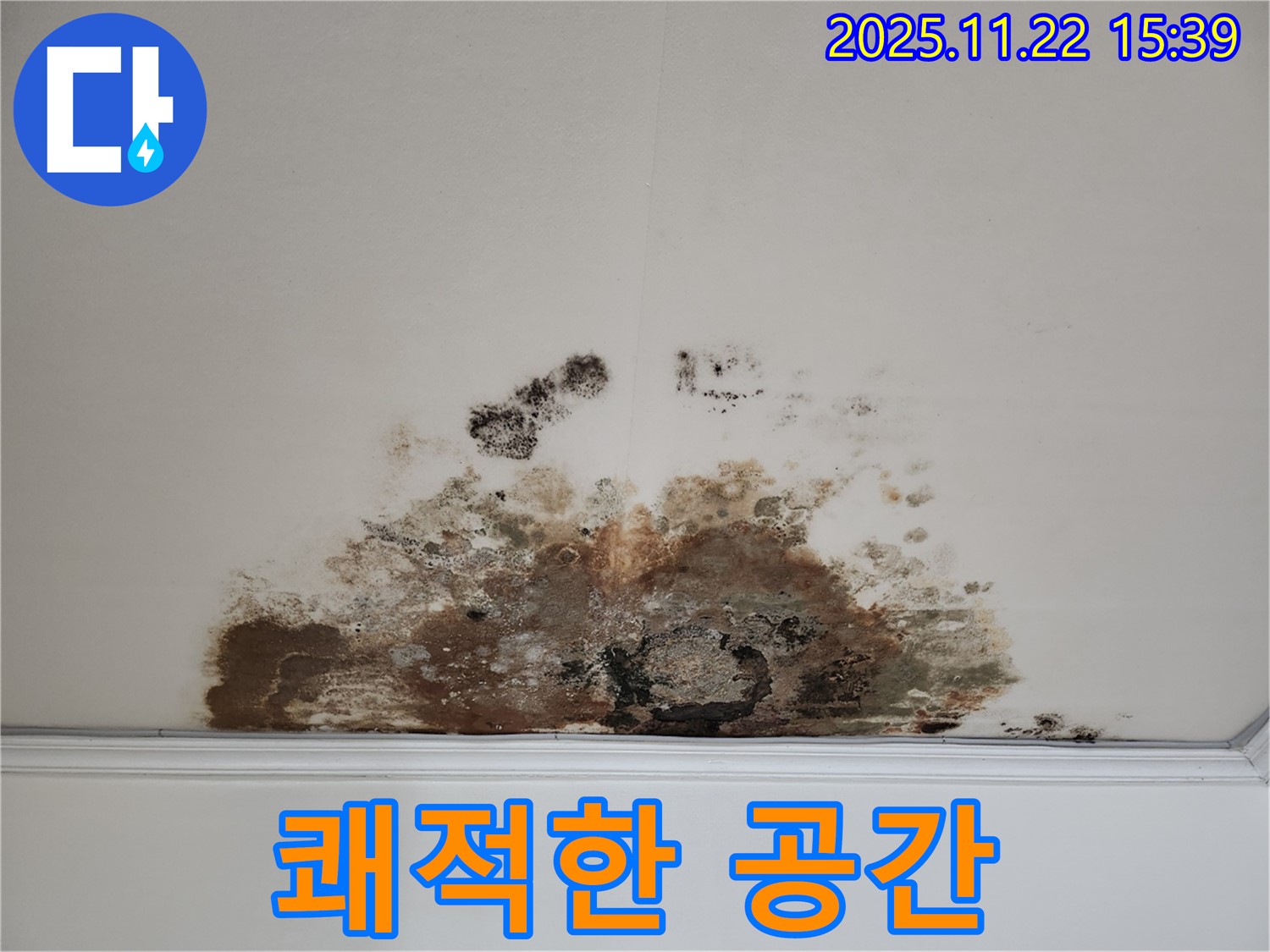 용강동 아파트 천장 - 완벽 해결 후 쾌적한 공간