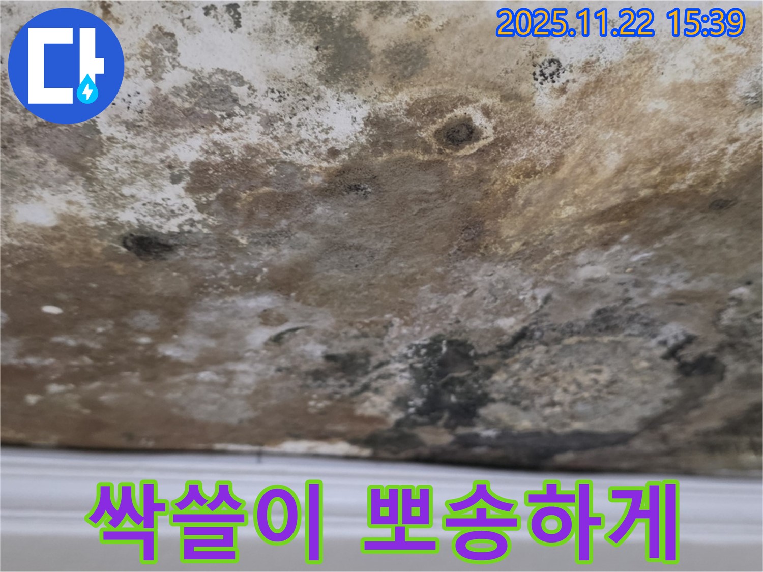 용강동 현대홈타운 - 곰팡이 싹쓸이, 뽀송뽀송한 공간으로 변신