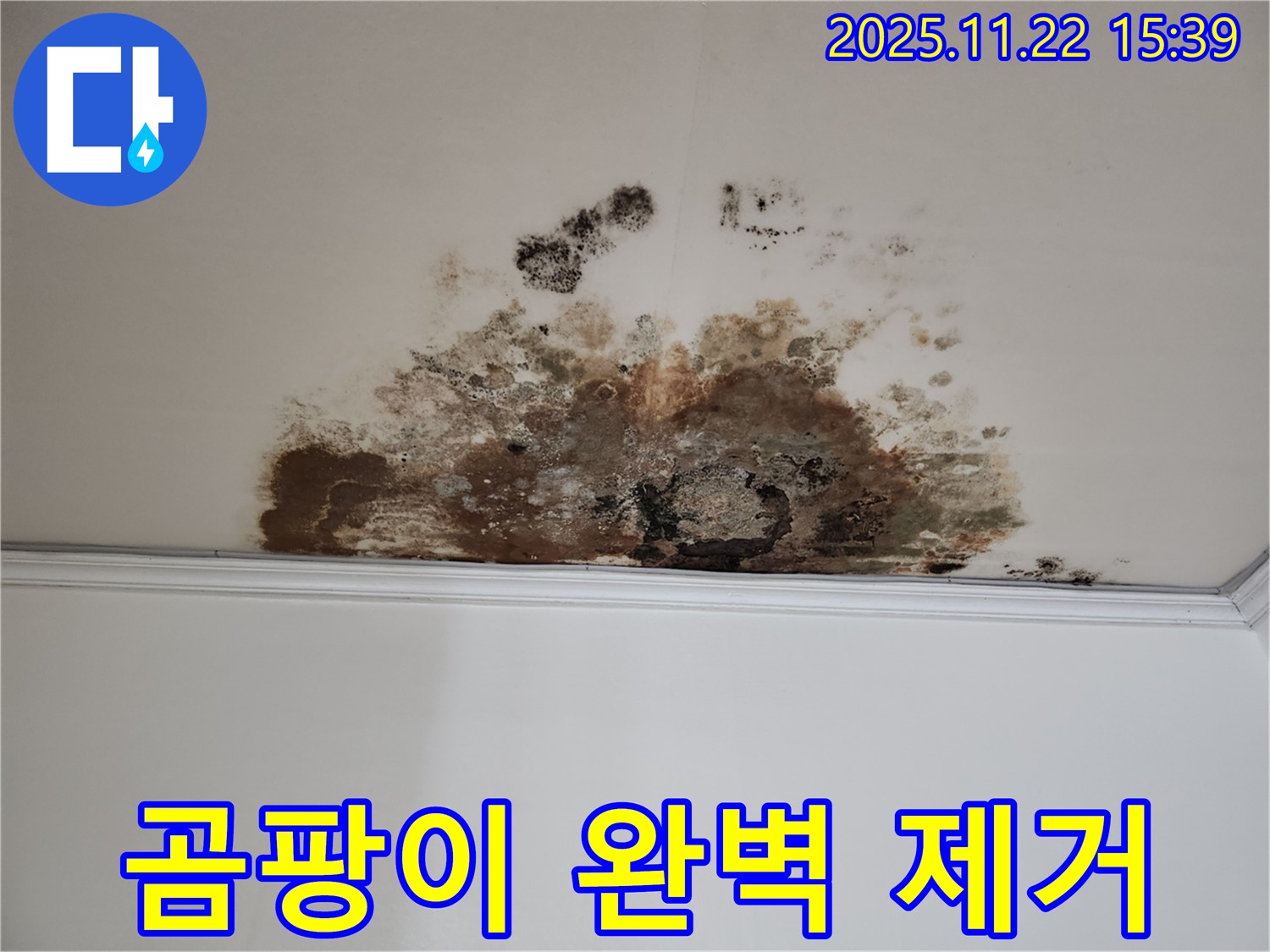용강동 현대홈타운 새창로8길 누수 - 곰팡이 완벽 제거, 고객 만족