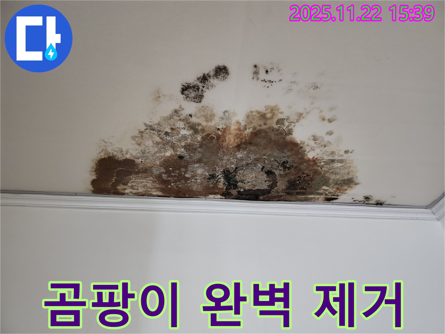 용강동 현대홈타운 새창로8길 누수 - 곰팡이 완벽 제거, 고객 만족