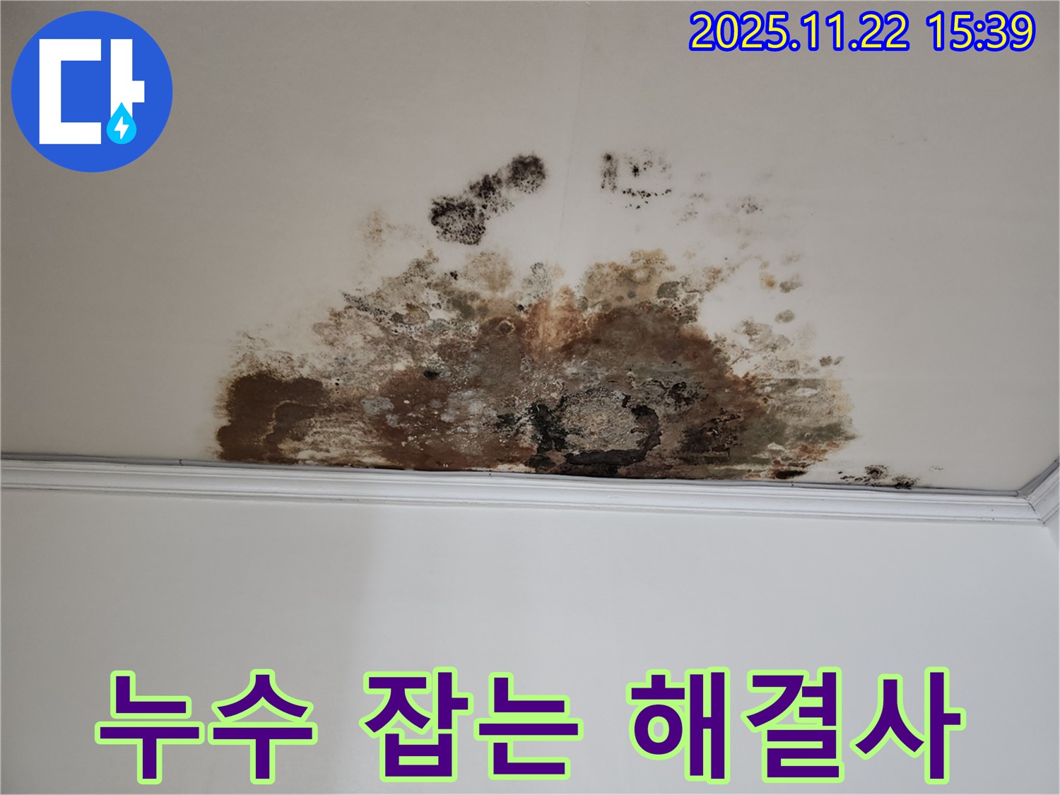 용강동 현대홈타운 새창로8길 천장 - 곰팡이 SOS, 누수 해결사