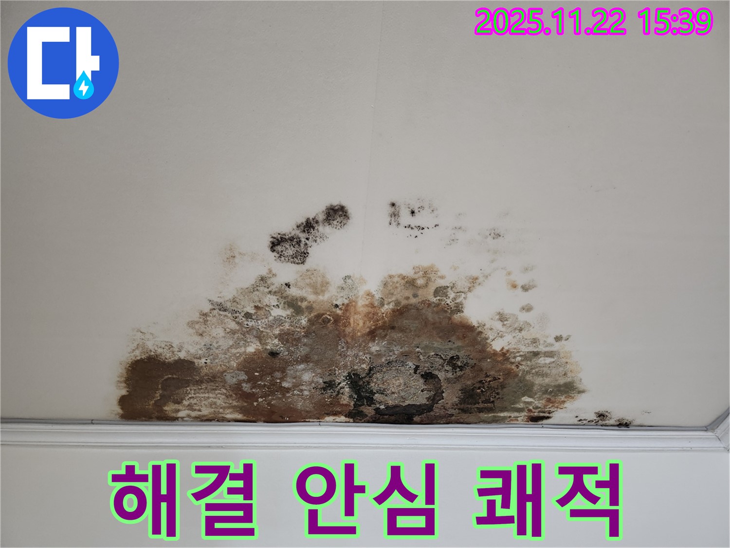 용강동 현대홈타운 아파트 - 곰팡이 천장, 완벽 해결! 안심하고 쾌적하게!