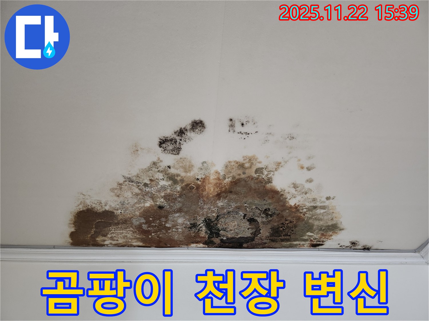 용강동 현대홈타운 아파트 - 곰팡이 천장, 쾌적한 공간으로 변신