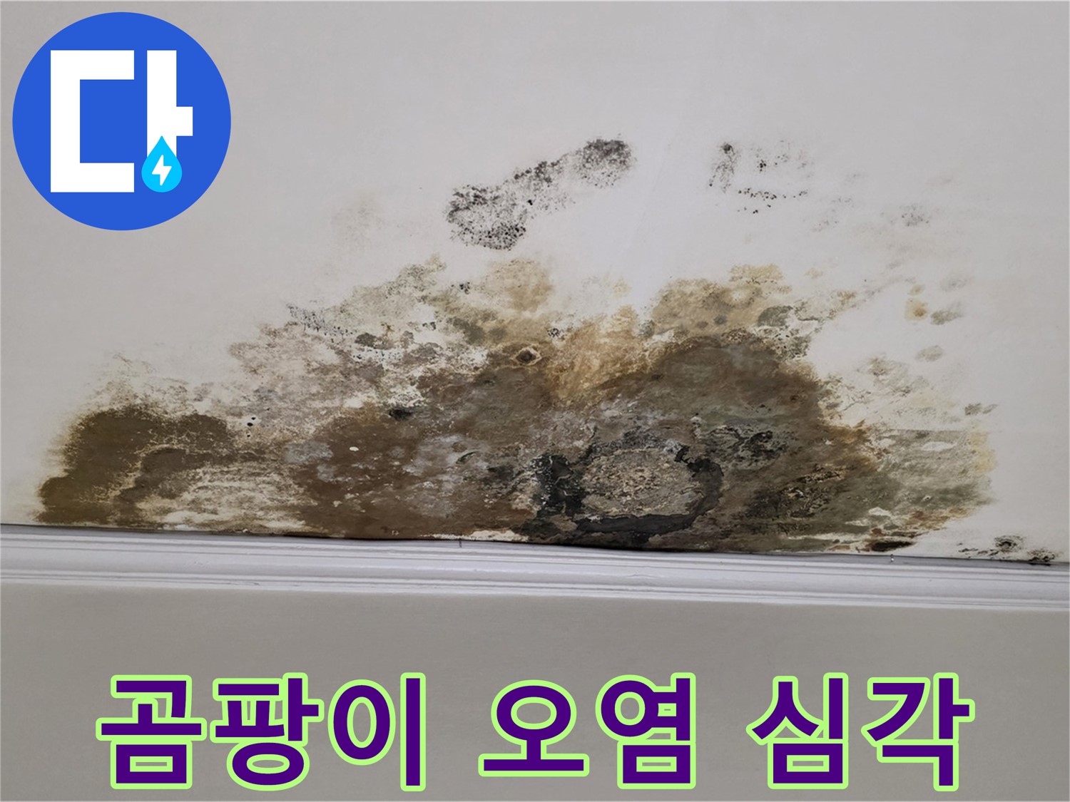 용강동 현대홈타운 아파트 누수 - 곰팡이 제거 전 심각한 오염 상태