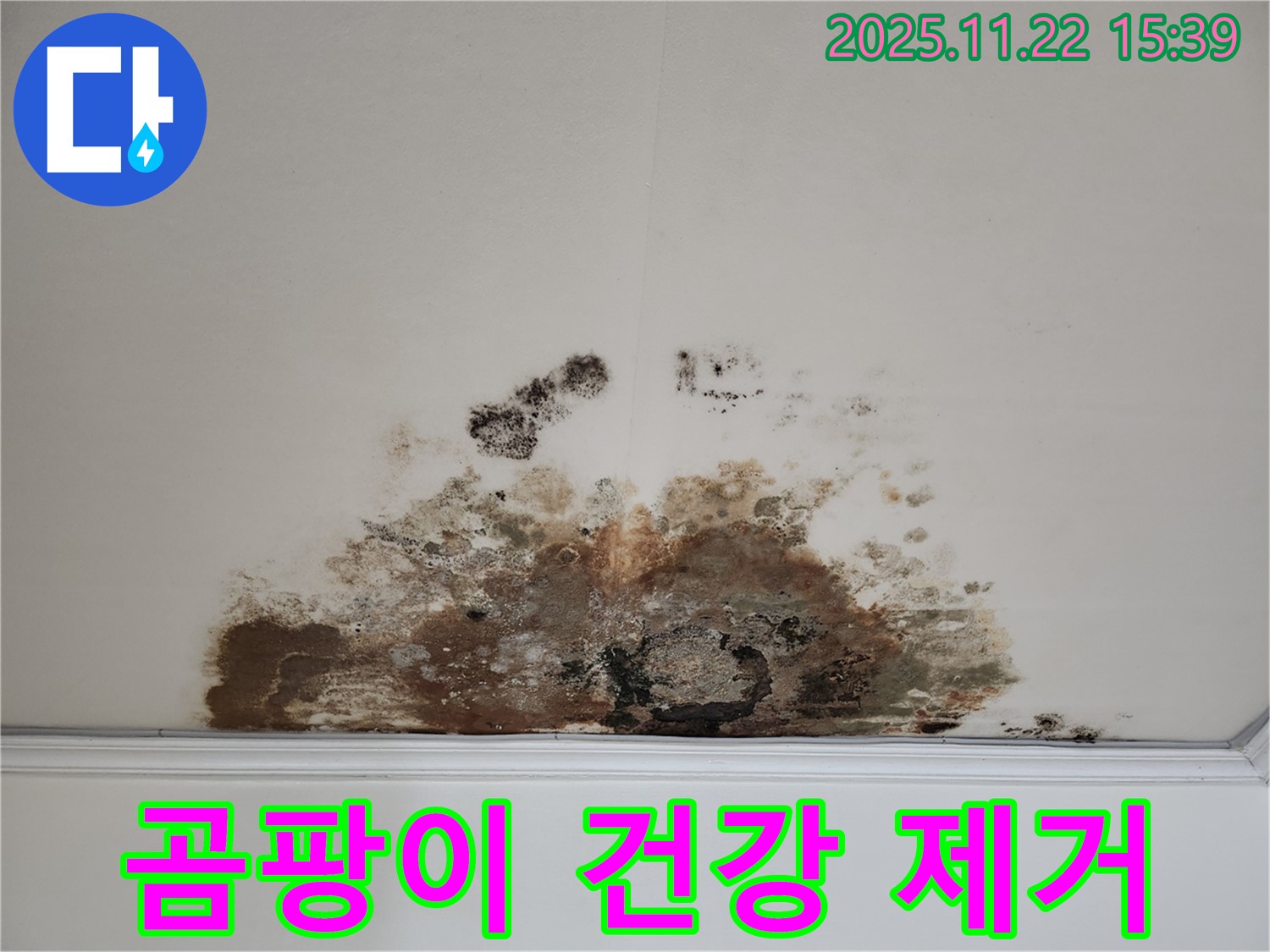 용강동 현대홈타운 아파트 - 천장 곰팡이가 건강을 위협 - 완벽 제거 시공