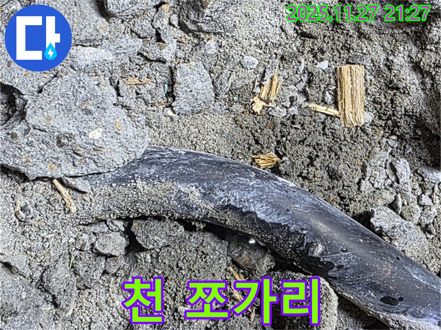 용강동 현대홈타운 - 천 쪼가리 - 습기 머금고 곰팡이 서식