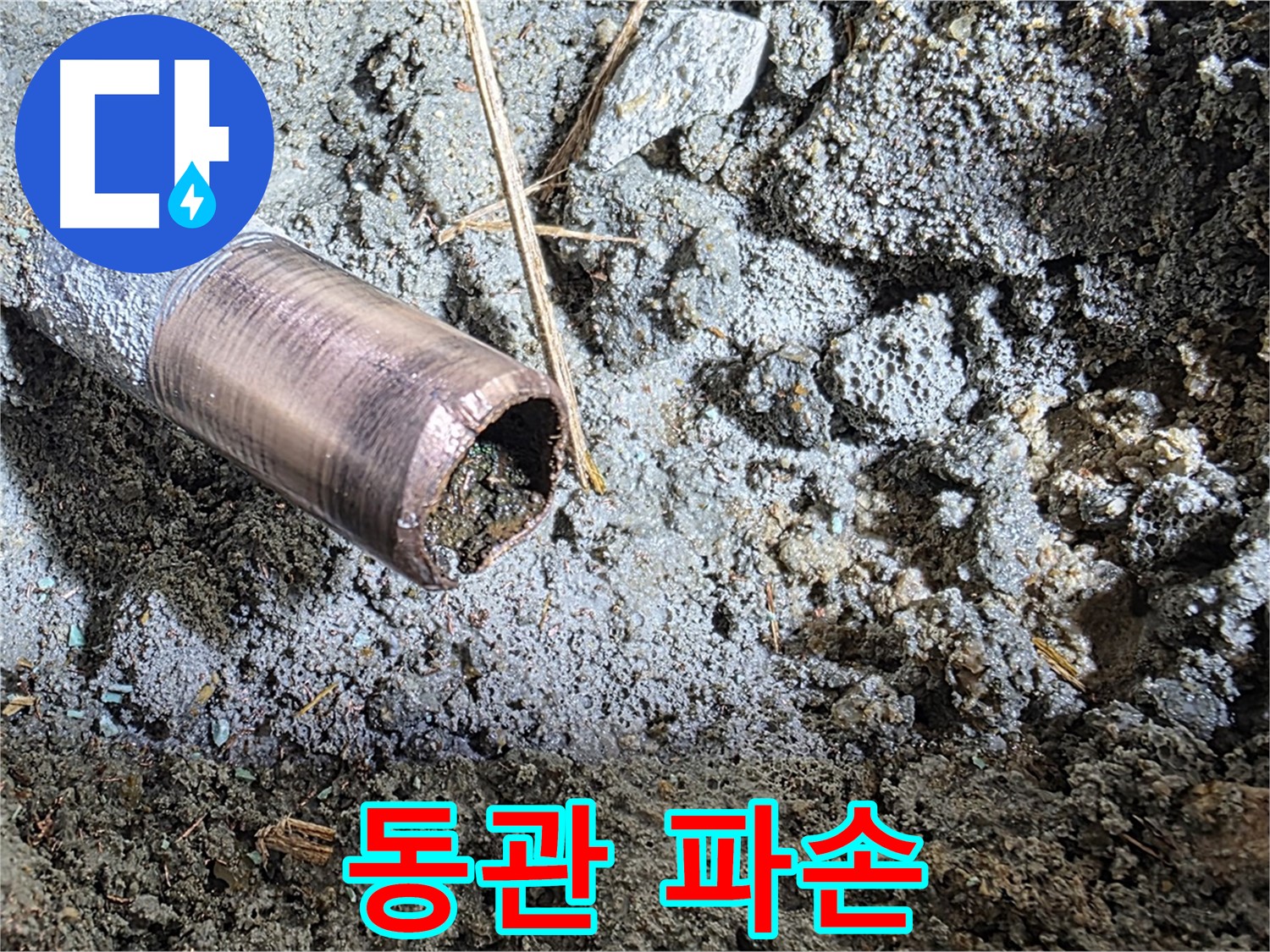 마포구 용강동 새창로8길 주택에서 정확한 누수 진단 - 첨단 장비를 사용하여 숨어있는 누수 지점을 찾아냈습니다.