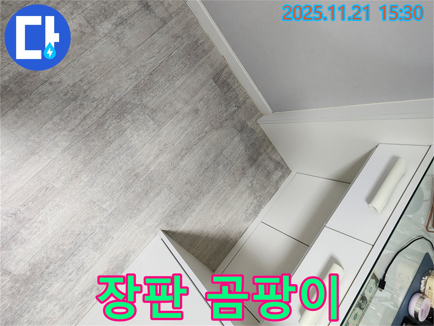 장판 곰팡이 - 혹시 누수 때문일까요?