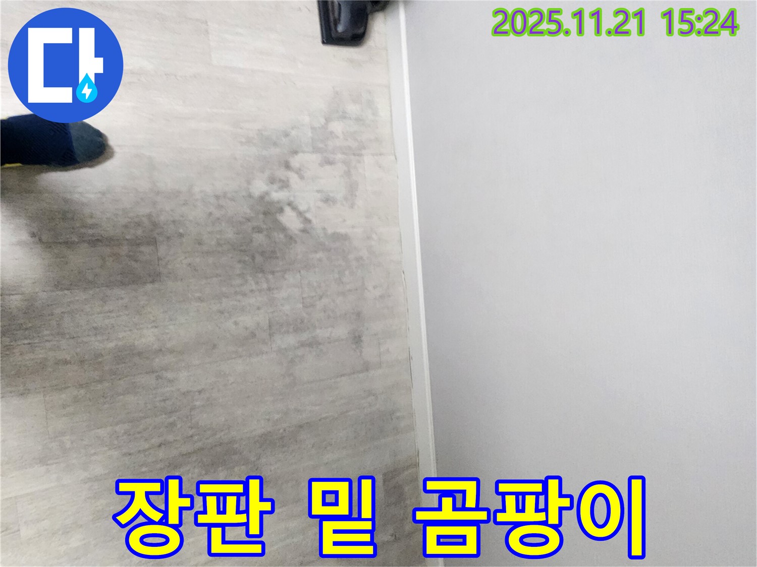 포천 가산면 누수 현장 - 장판 밑 곰팡이, 완벽한 해결 - 곰팡이 걱정 끝!