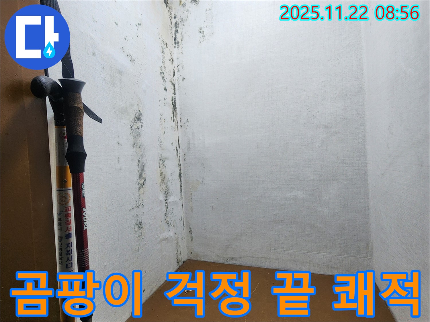 곰팡이 걱정 끝 - 쾌적한 우리 집으로!