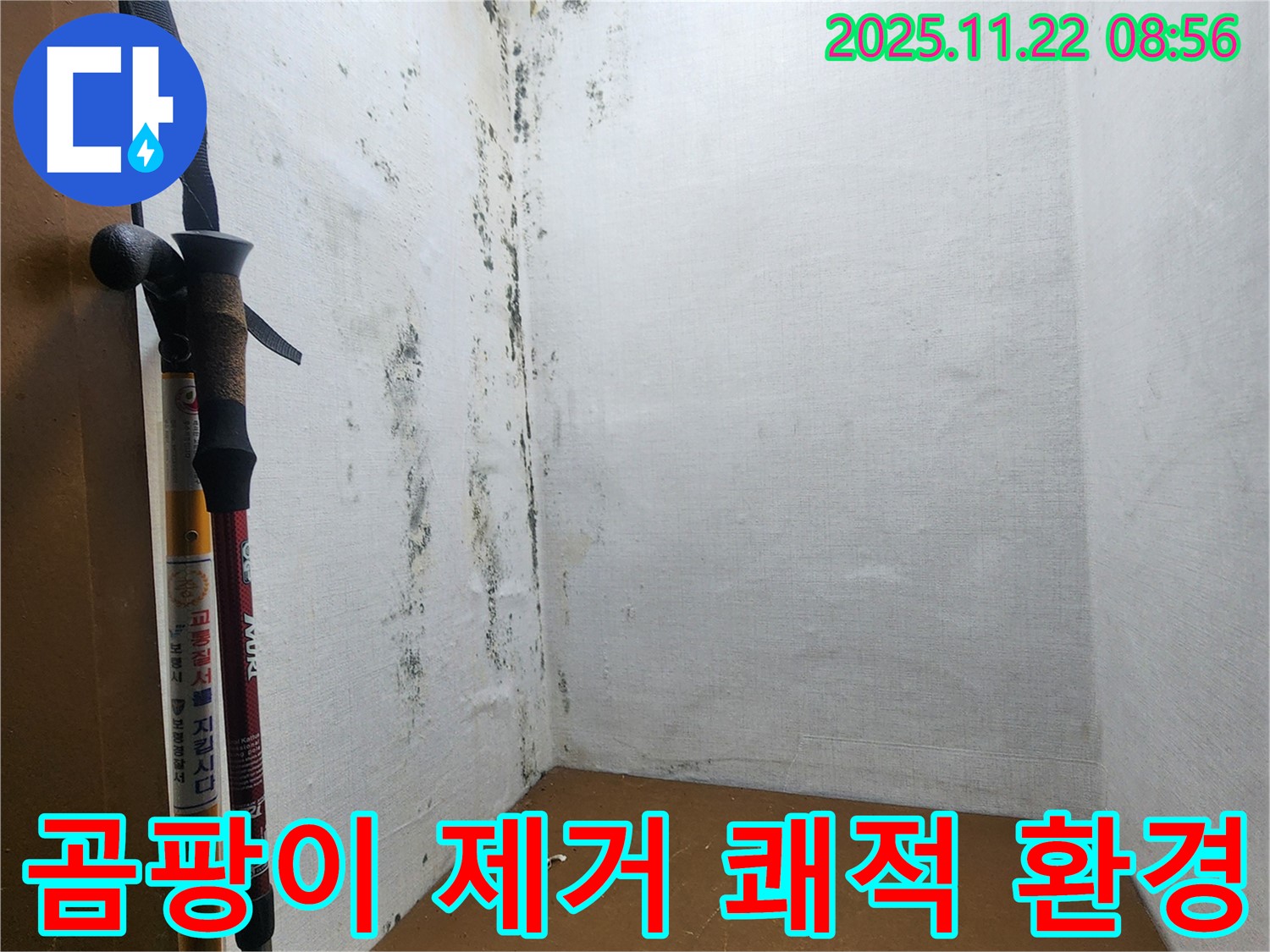곰팡이 문제 해결 - 쾌적한 환경으로 변신!
