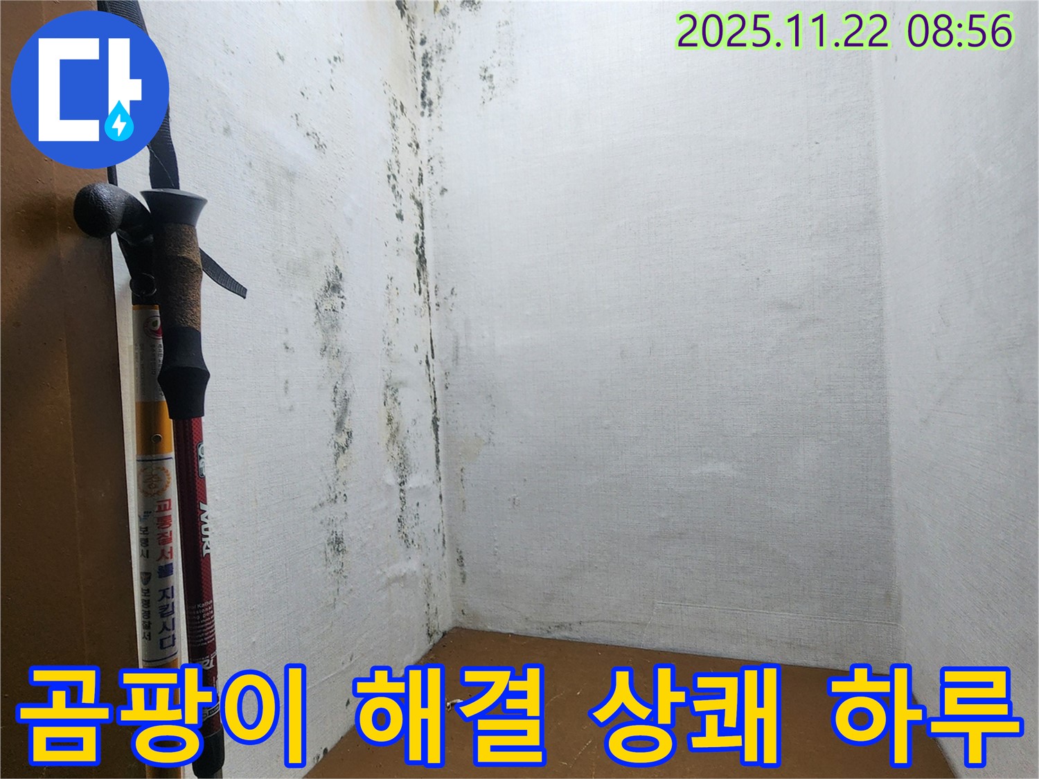 곰팡이 완벽 해결 - 상쾌한 하루 시작!
