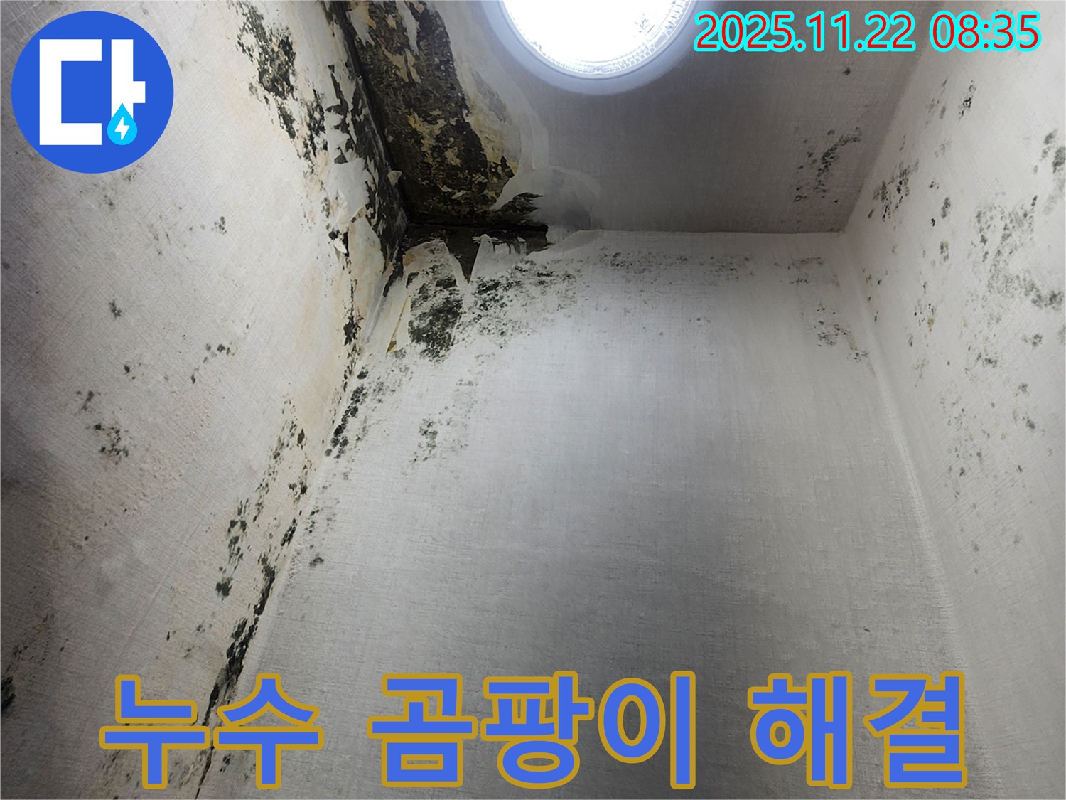 신곡동 누수 해결 - 곰팡이 늪 탈출, 뽀송뽀송한 공간으로 변신
