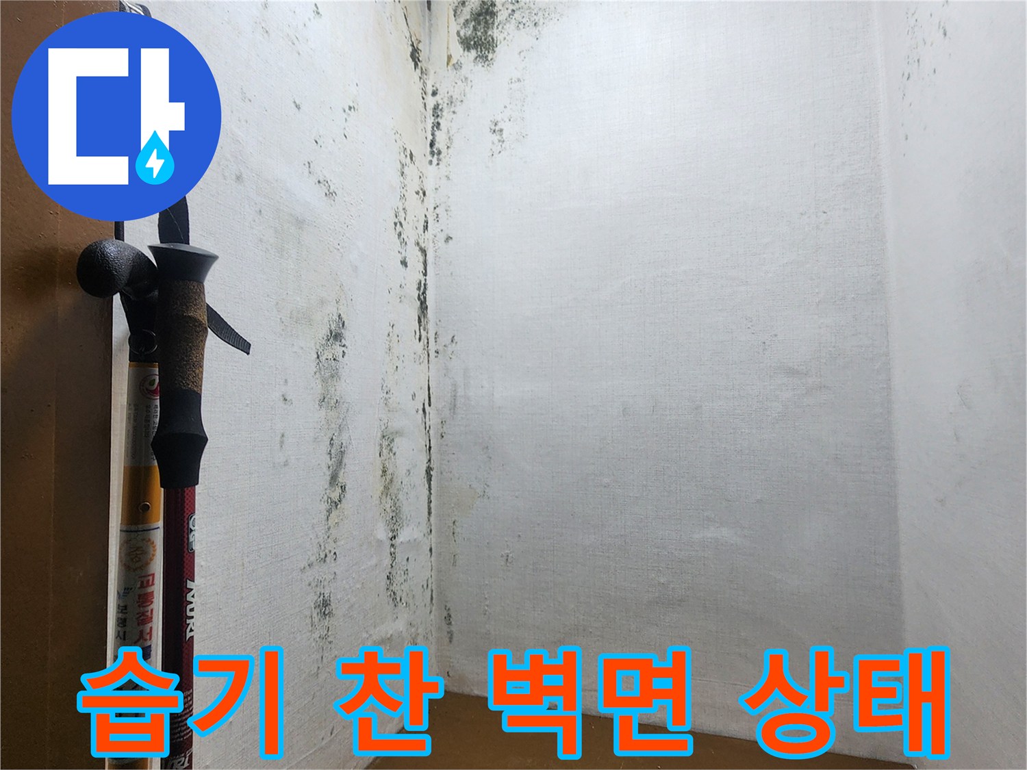의정부_신곡동-누수로_오염된_다용도실_벽체