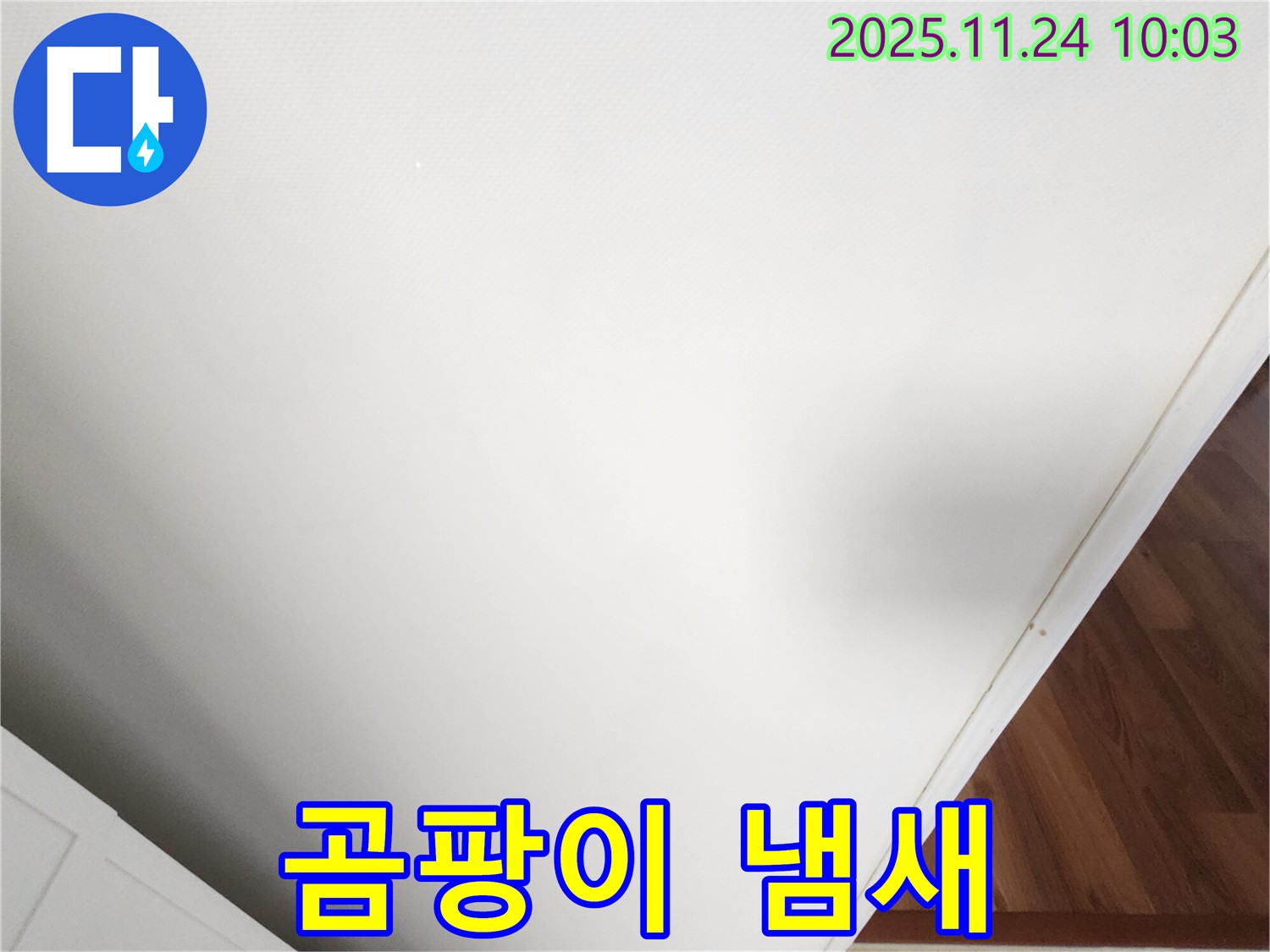 곰팡이 냄새 - 벽 속 누수를 의심해 보세요.