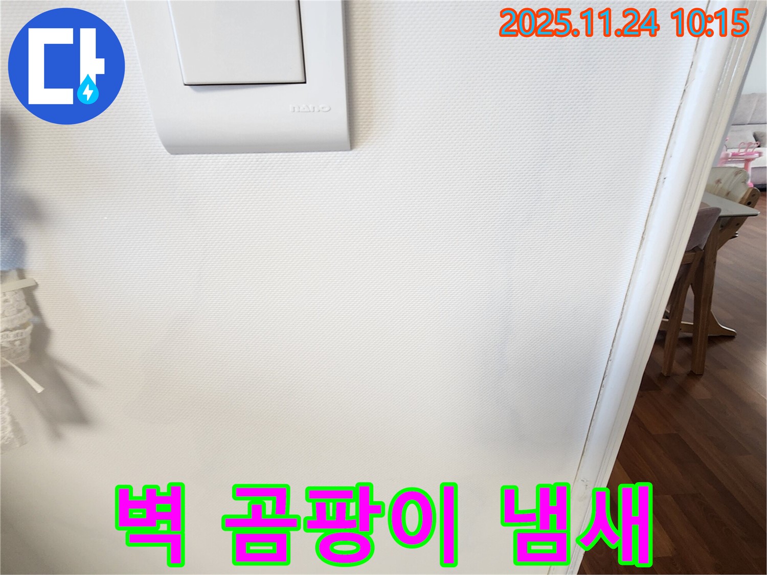 벽 곰팡이 냄새 - 누수