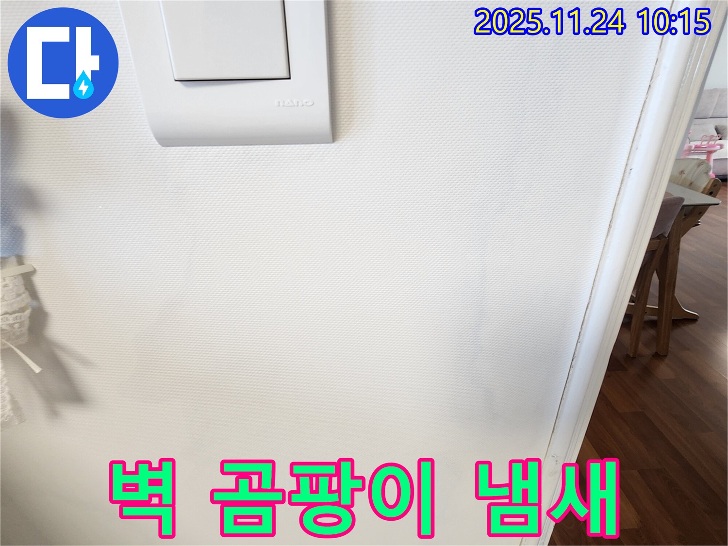 벽 곰팡이 냄새 - 누수 해결 - 탈취