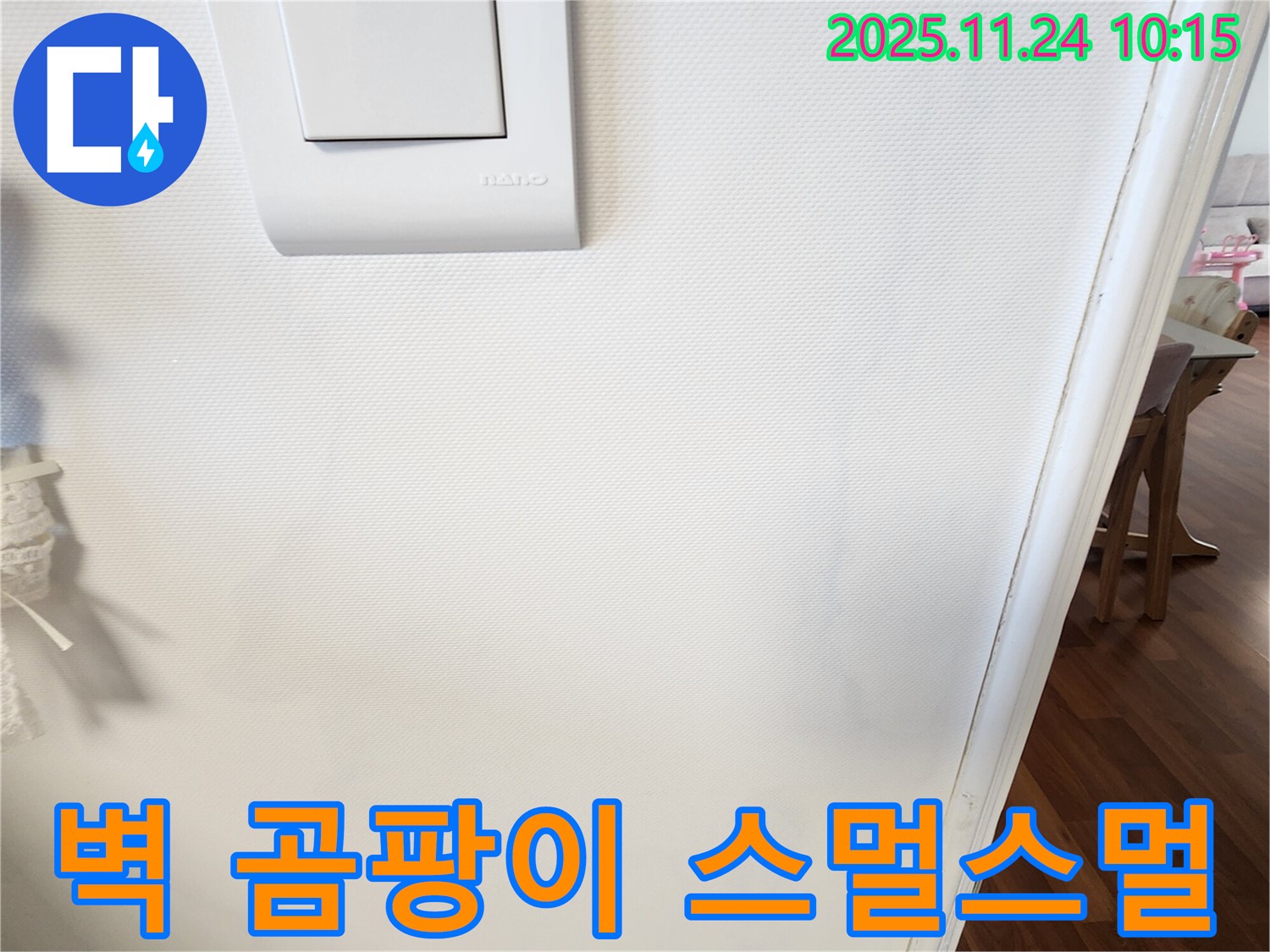 벽 곰팡이 - 초기 대응