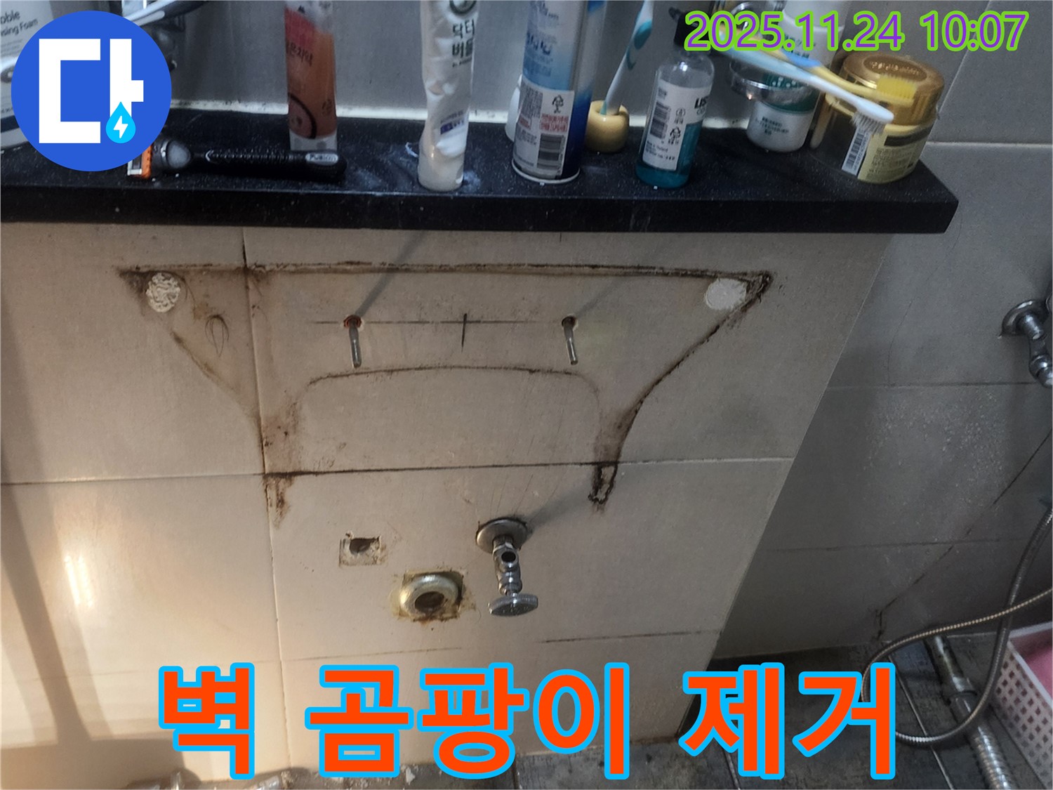 세면대 하부장 뒤 벽 - 곰팡이 발생