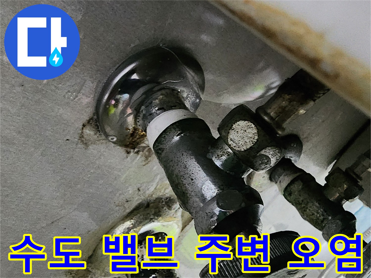 앵글밸브-주변의-물때와-곰팡이-발생-현황