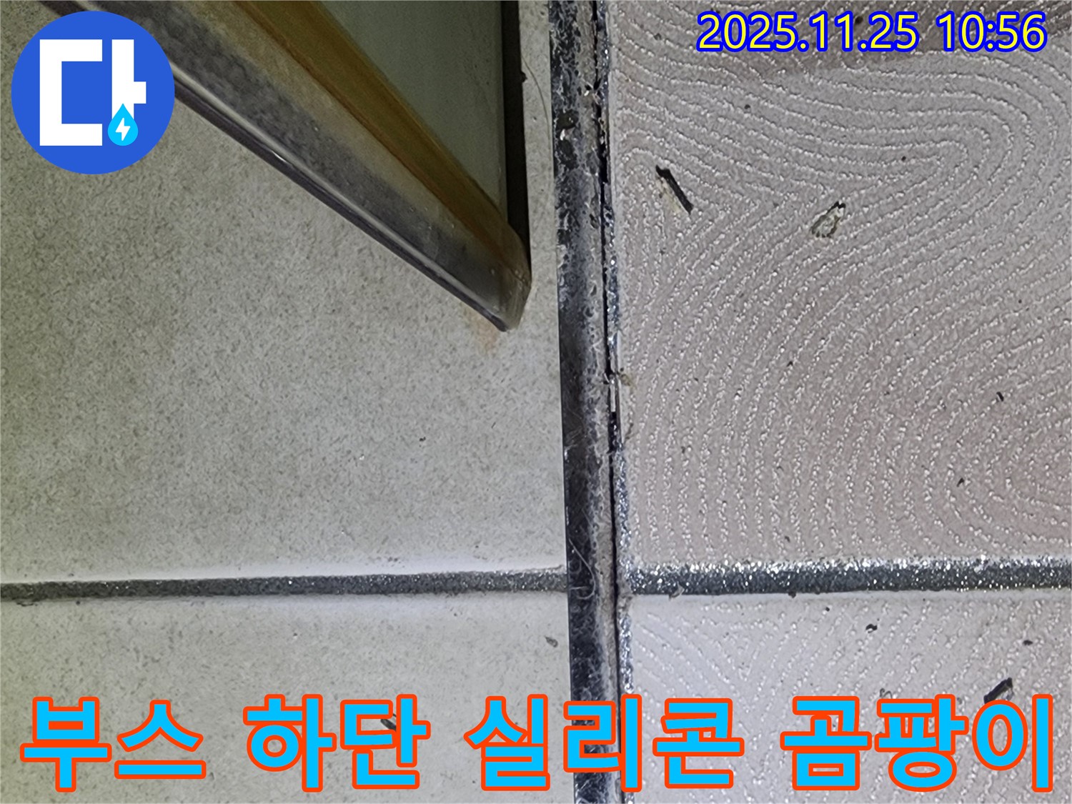 샤워부스 하단 실리콘 곰팡이 - 곰팡이로 오염된 실리콘 - 누수 해결