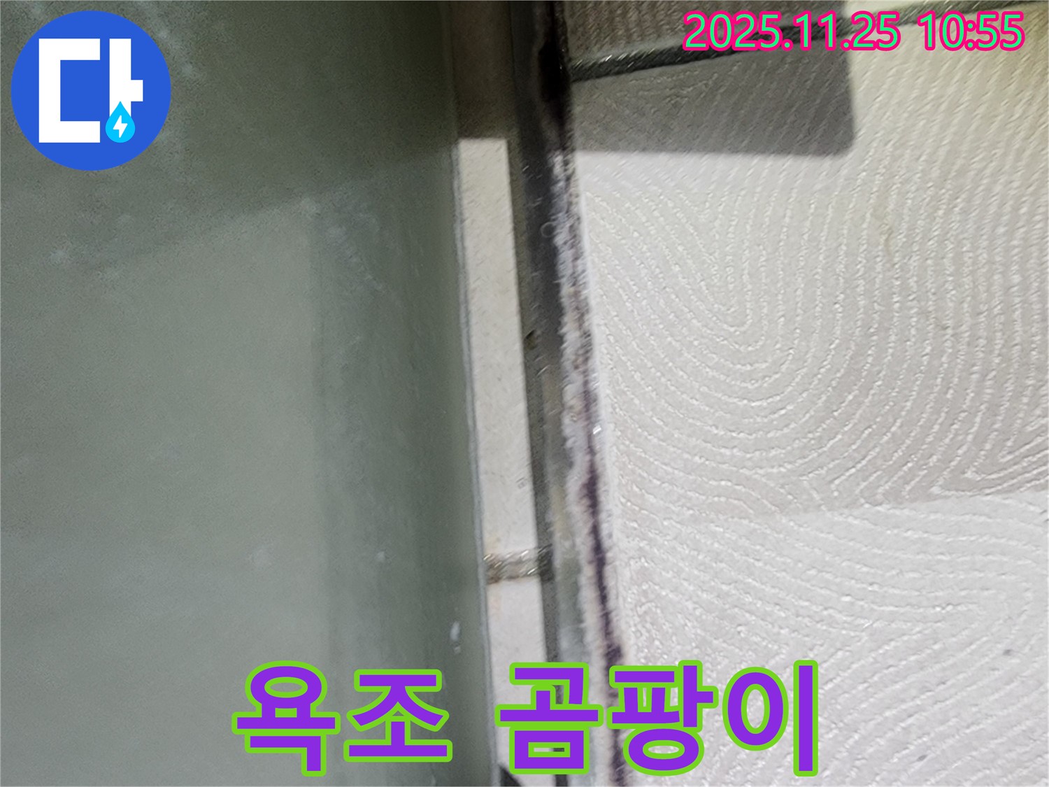 욕조 곰팡이 - 초기 발견 - 완벽 차단