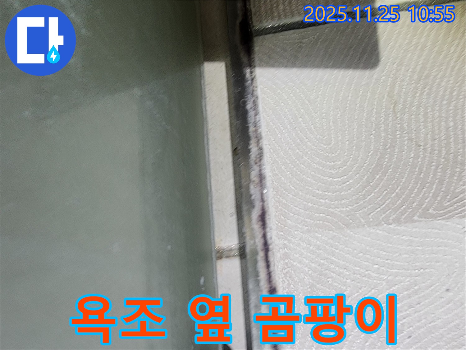 욕조 옆 곰팡이 - 꼼꼼한 점검으로 확실하게