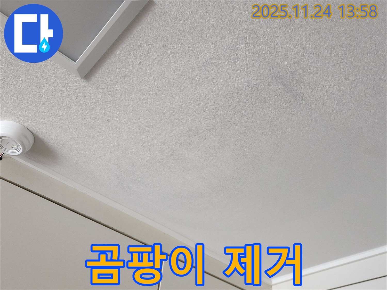 가산면 마전리 누수 - 석고보드 곰팡이 안전하고 완벽하게 제거