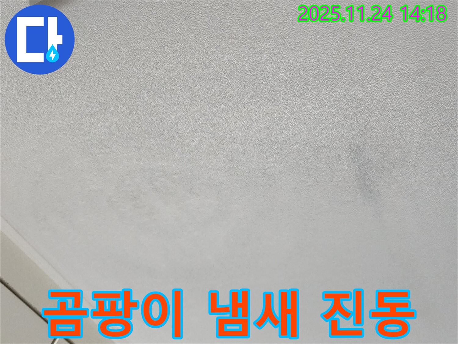 가산면 마전리 천장 누수 - 누수로 눅눅한 천장, 곰팡이 냄새 진동!