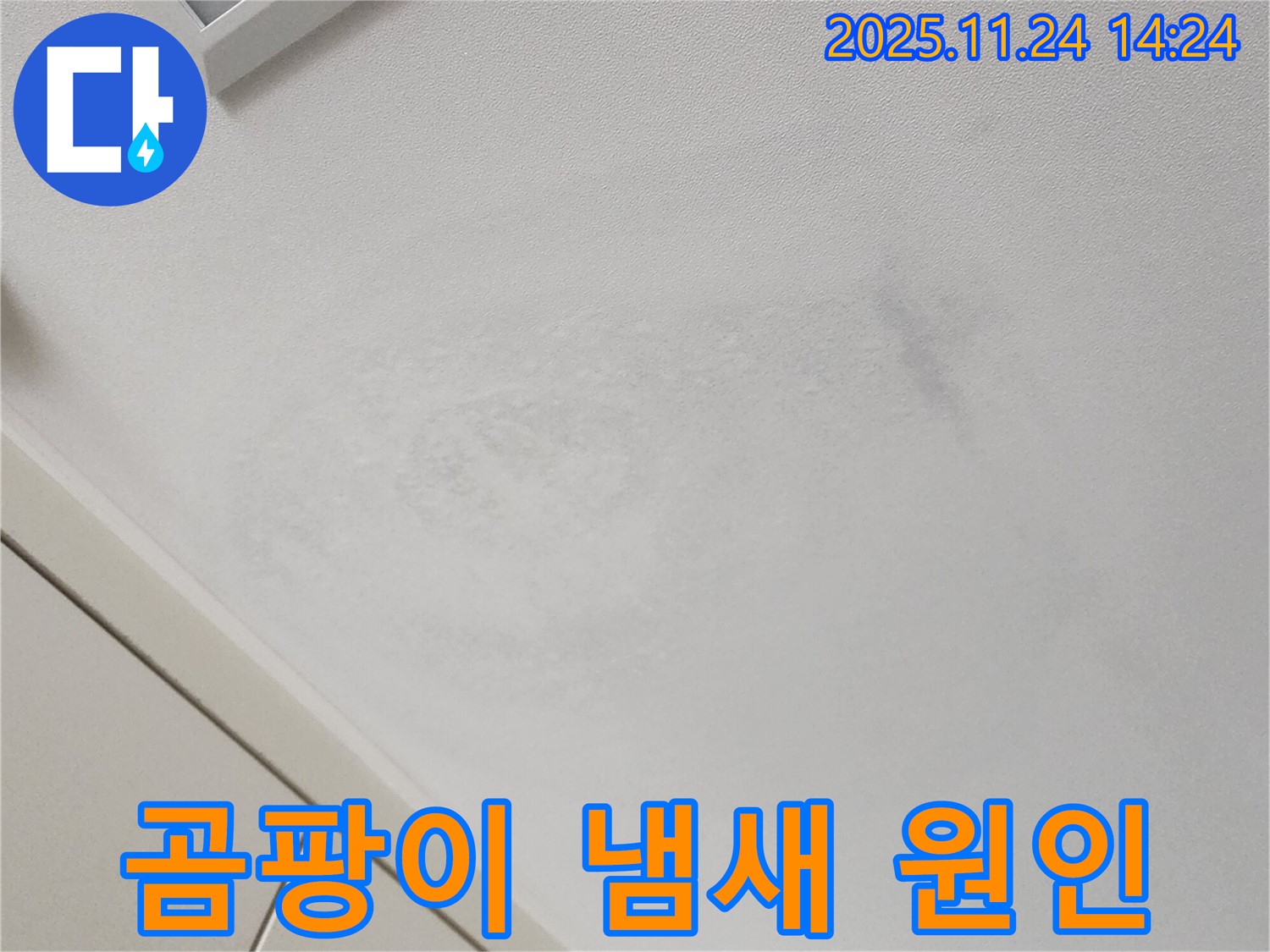 곰팡이 냄새 - 젖은 천장