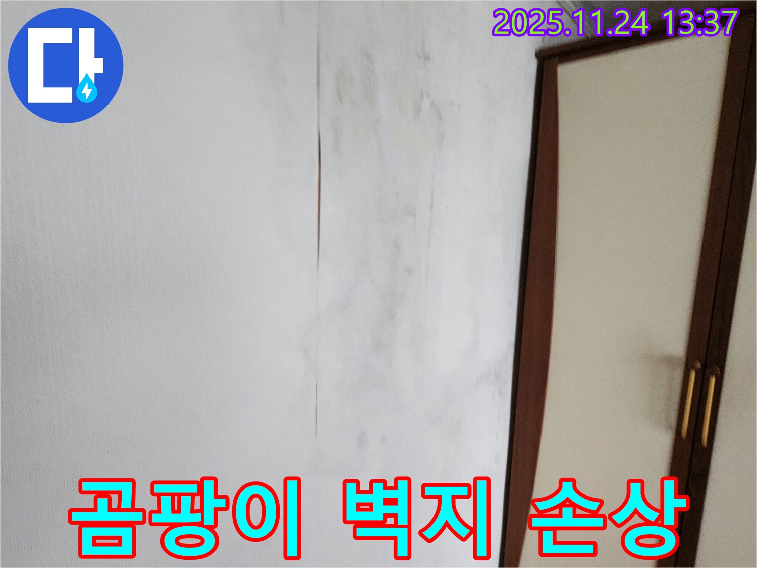 곰팡이 - 벽지 손상 - 분위기 망침