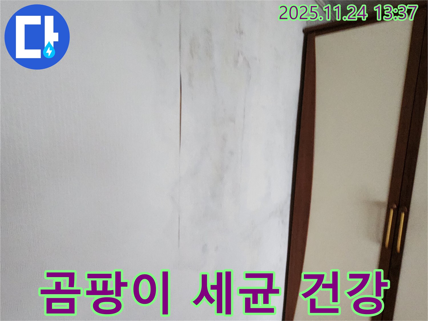 곰팡이 - 세균 번식 - 가족 건강 지키기
