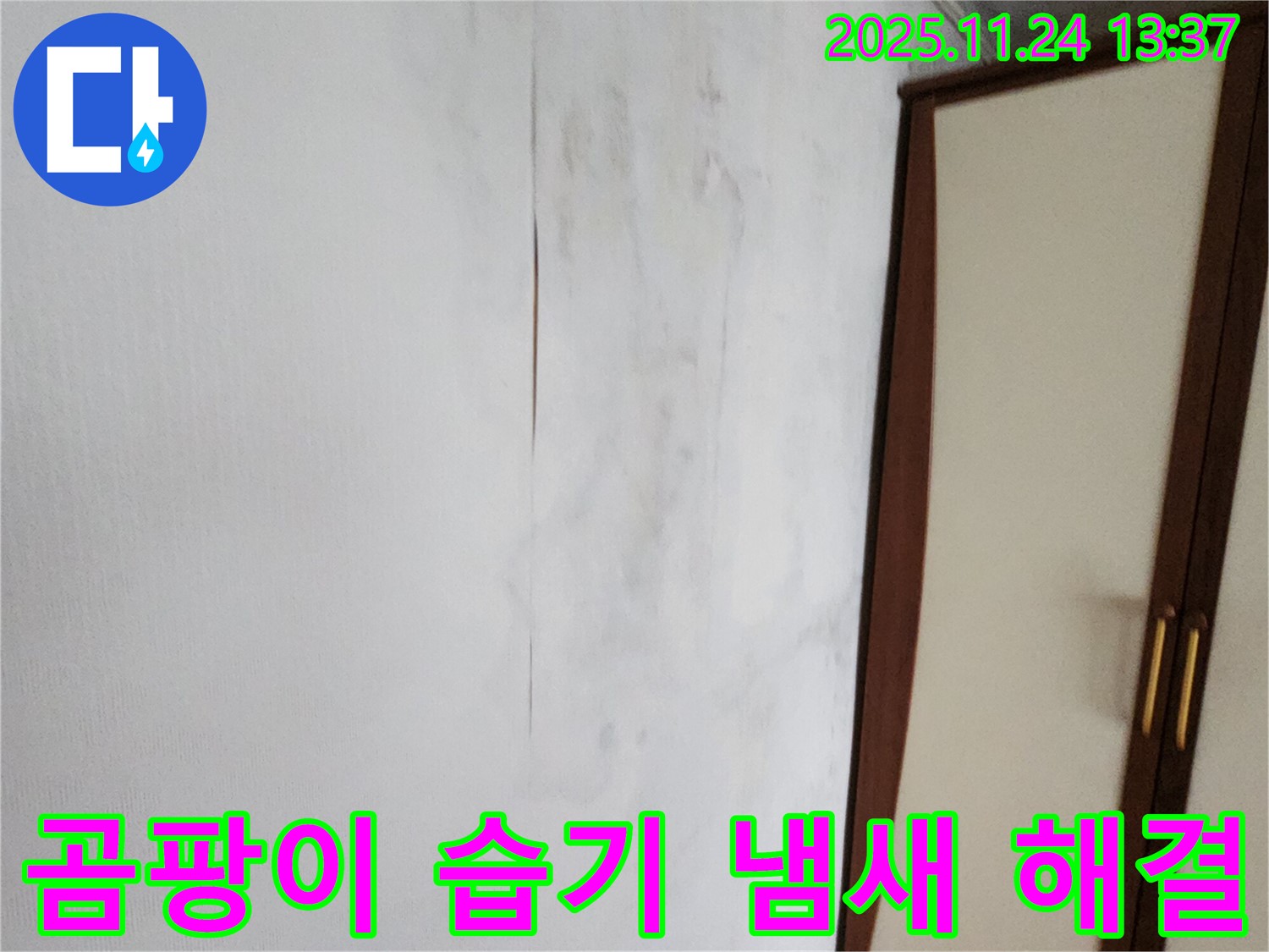 곰팡이 - 습기 - 꿉꿉한 냄새 - 3중고 해결