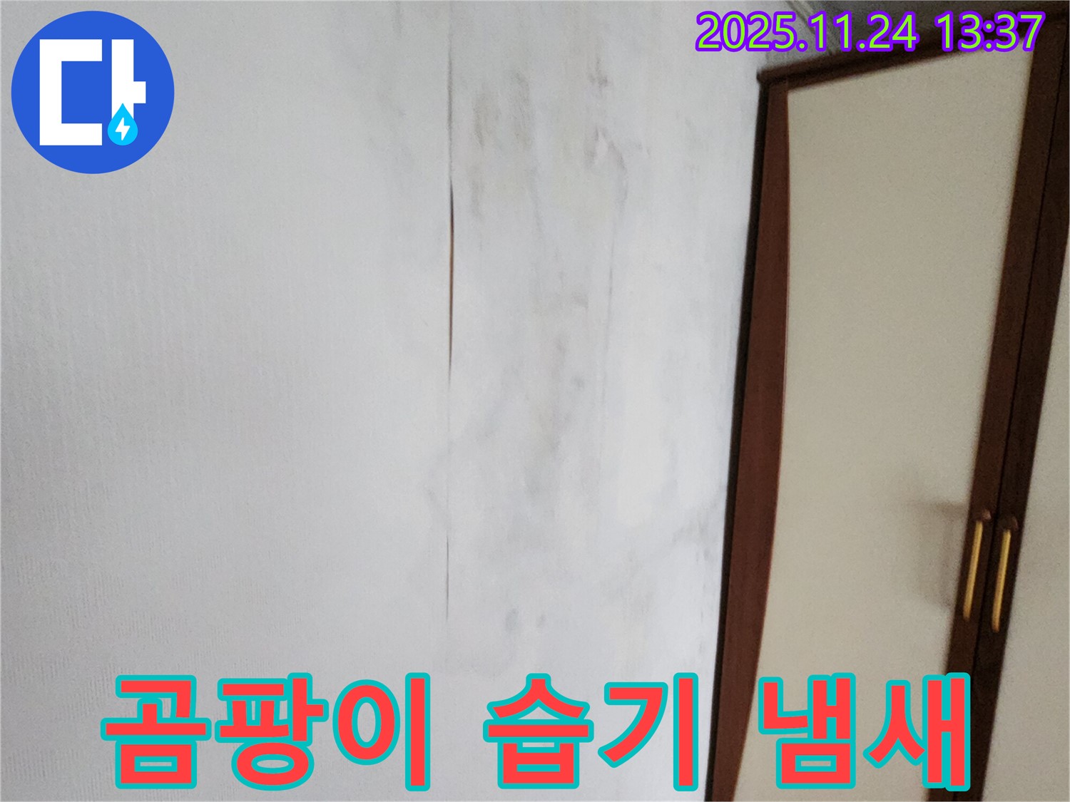 곰팡이 - 습기 - 퀴퀴한 냄새 - 3중고 탈출
