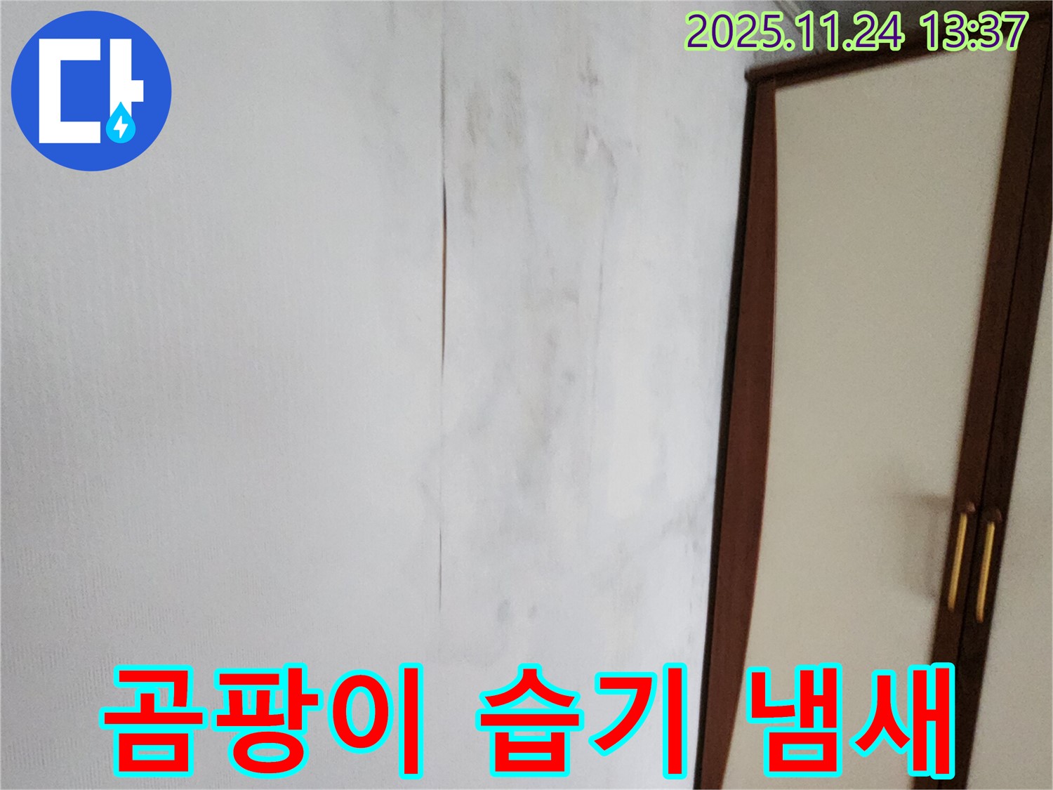 곰팡이 - 습기 - 퀴퀴한 냄새 - 3중고 탈출