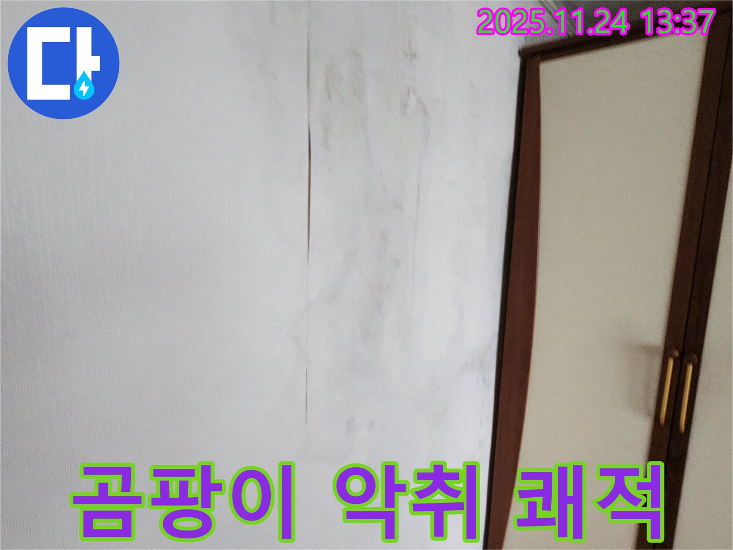 곰팡이 - 악취 - 쾌적한 우리 집 되찾기