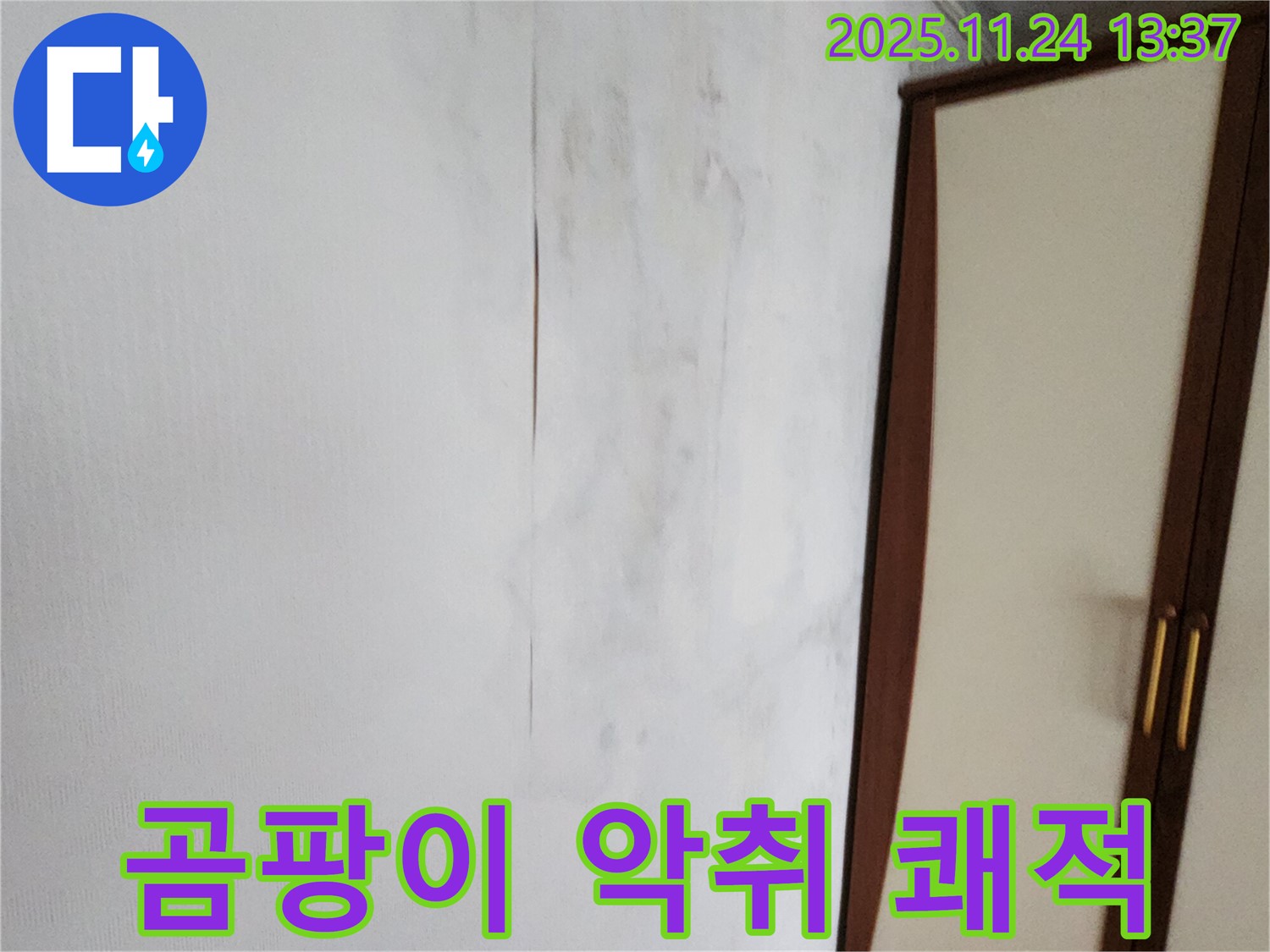 곰팡이 - 악취 - 쾌적한 우리 집 되찾기