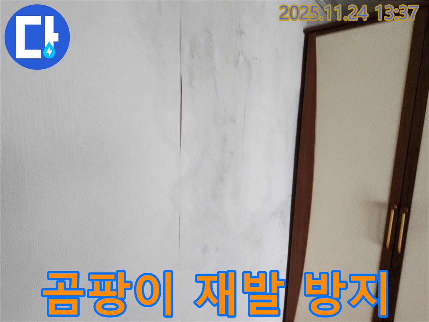 곰팡이 재발 방지 - 완벽한 시공 약속