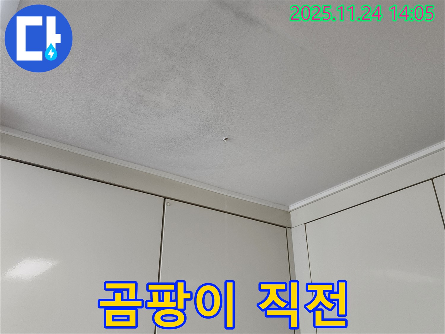 곰팡이 직전 - 누수로 인해 곰팡이가 발생하기 직전의 젖은 천장 모습