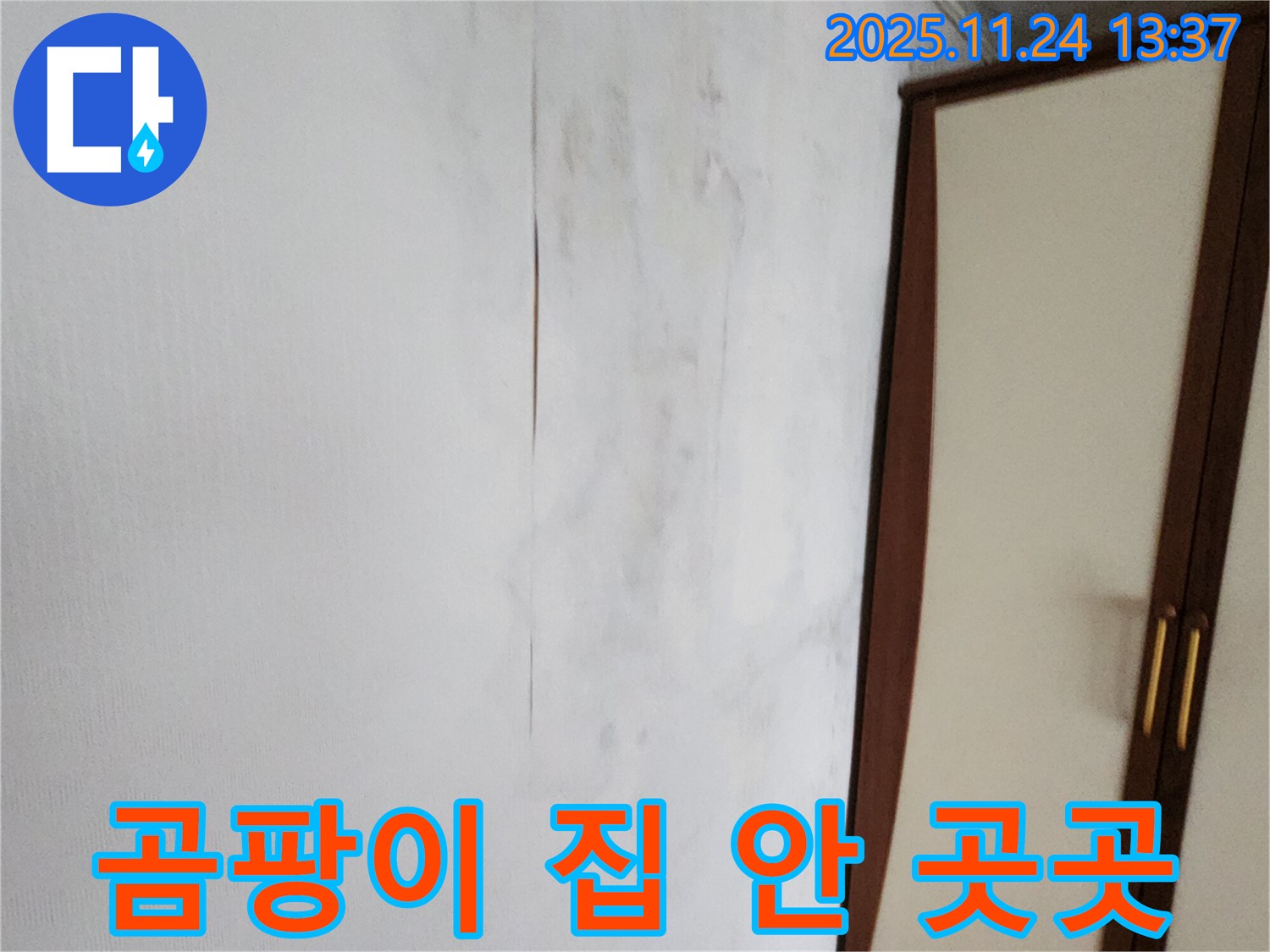 곰팡이 - 집 안 곳곳 - 누수 해결 시급