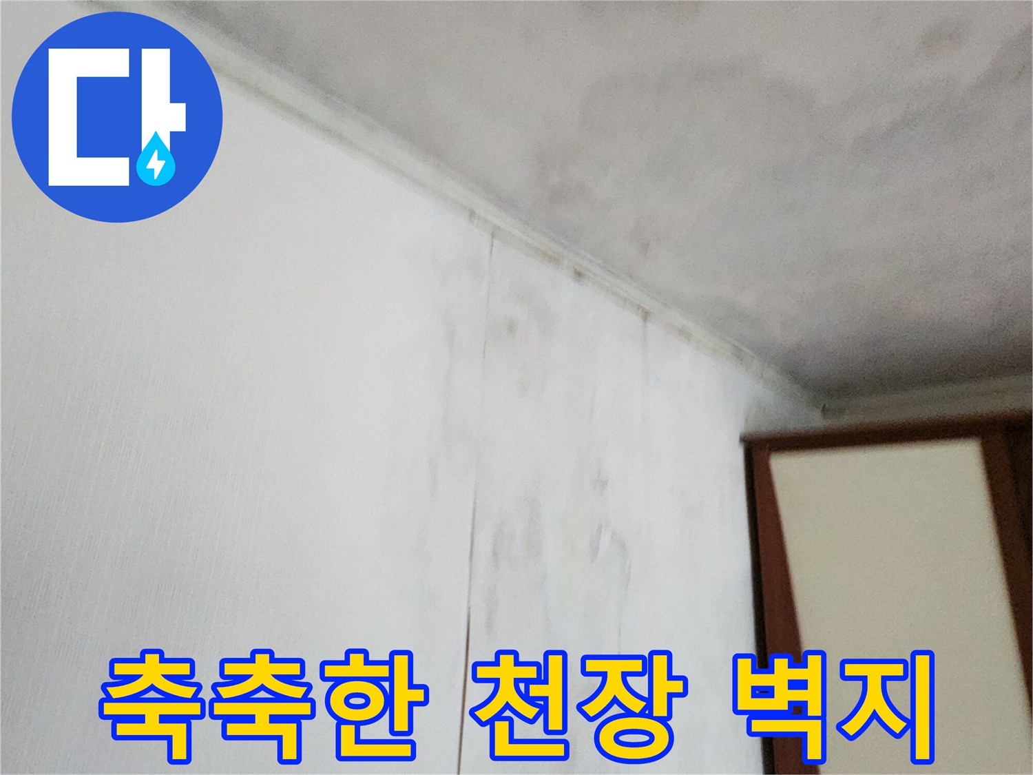 곰팡이와 습기로 인해 변색된 천장 벽면 부위