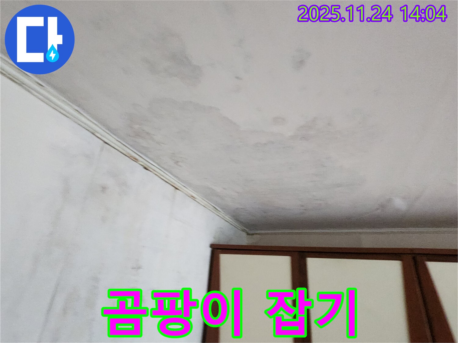 마전리 누수 - 곰팡이 꽃 피기 전에 잡자