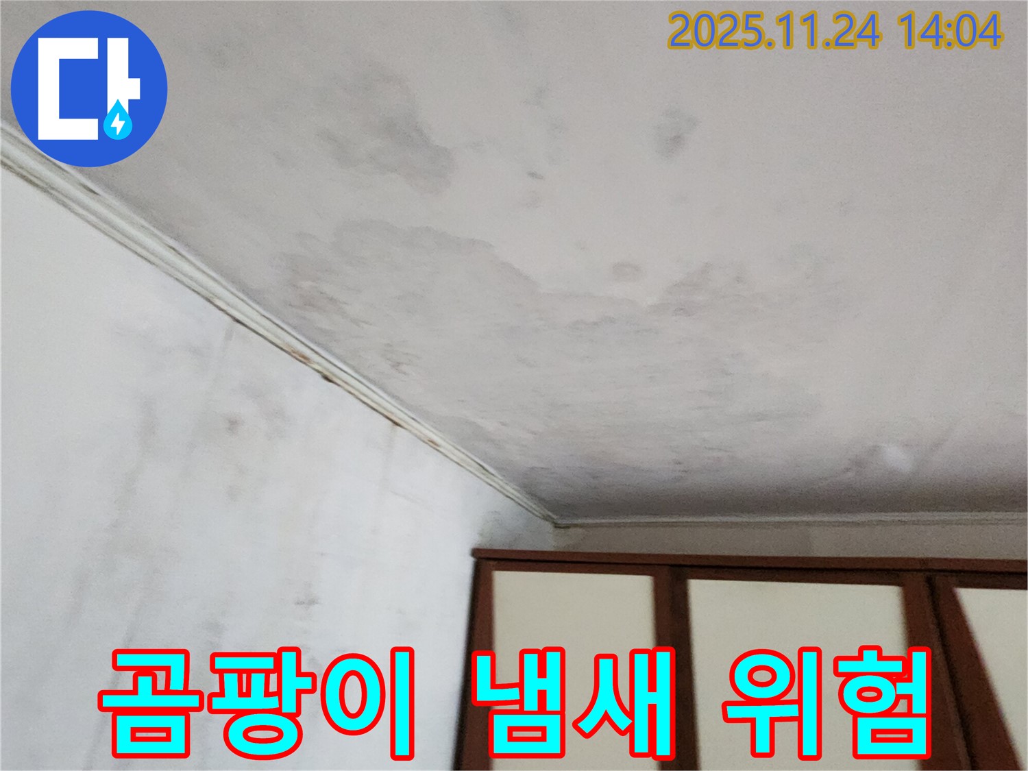 마전리 누수 - 곰팡이 냄새, 건강 적신호