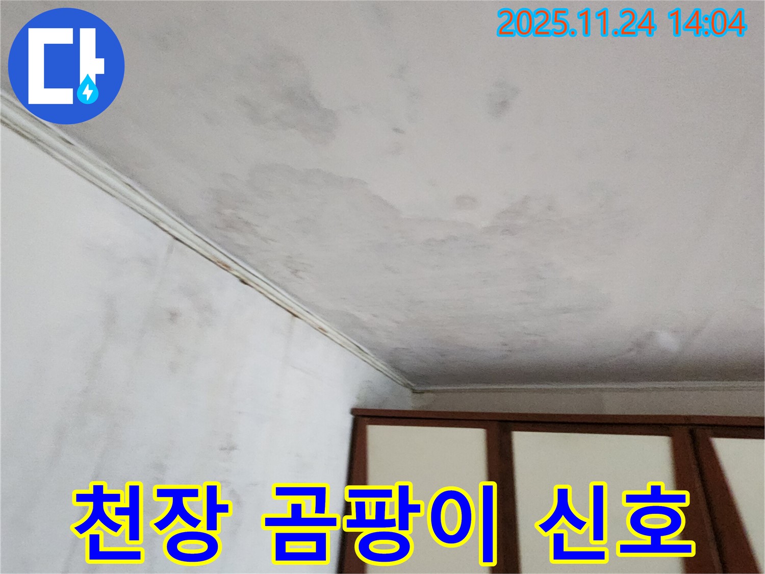 마전리 누수 - 천장 얼룩, 곰팡이 신호탄