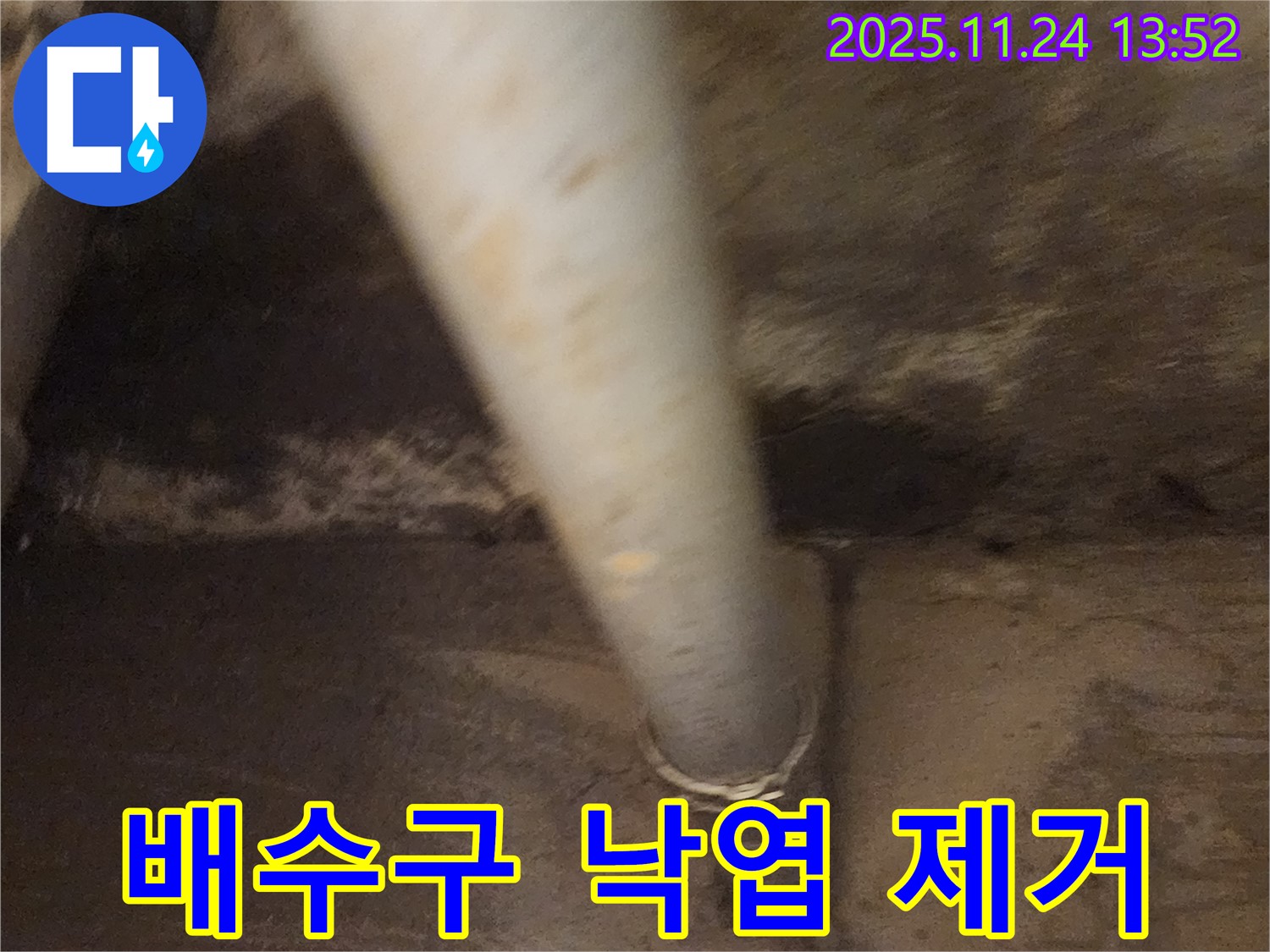 마전리 옥상 배수구 막힘 - 낙엽 제거 작업 진행