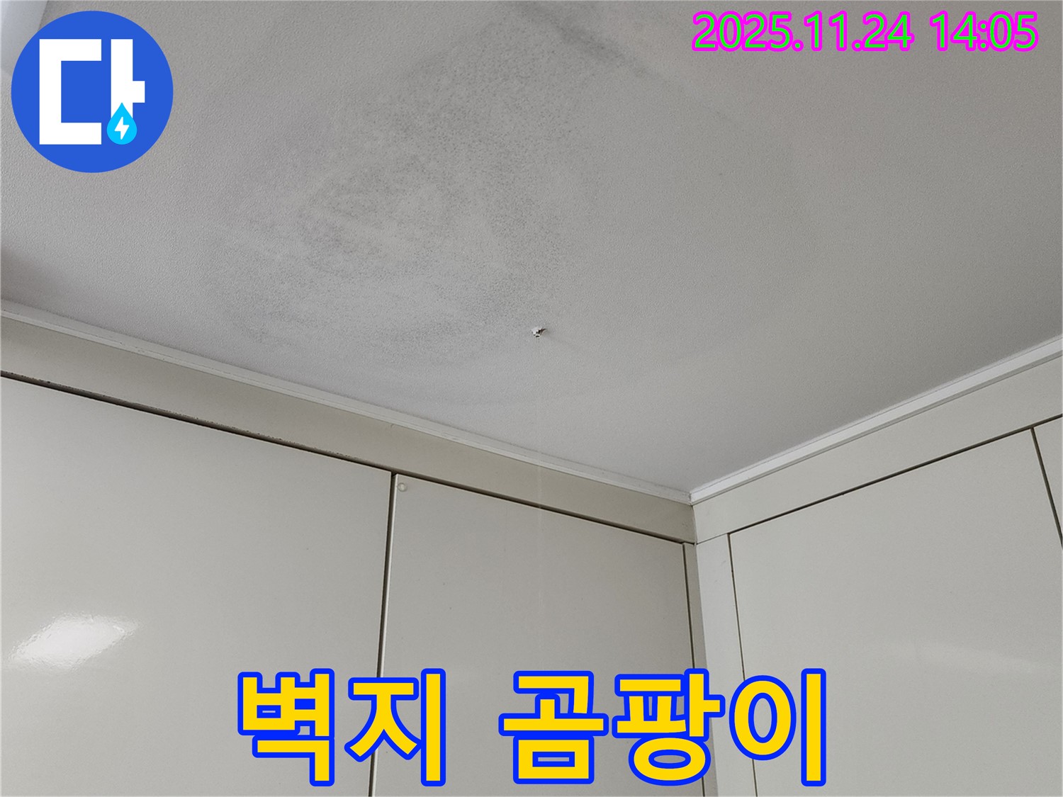 벽지 곰팡이 - 누수로 인해 실크벽지에 곰팡이가 심하게 발생한 모습