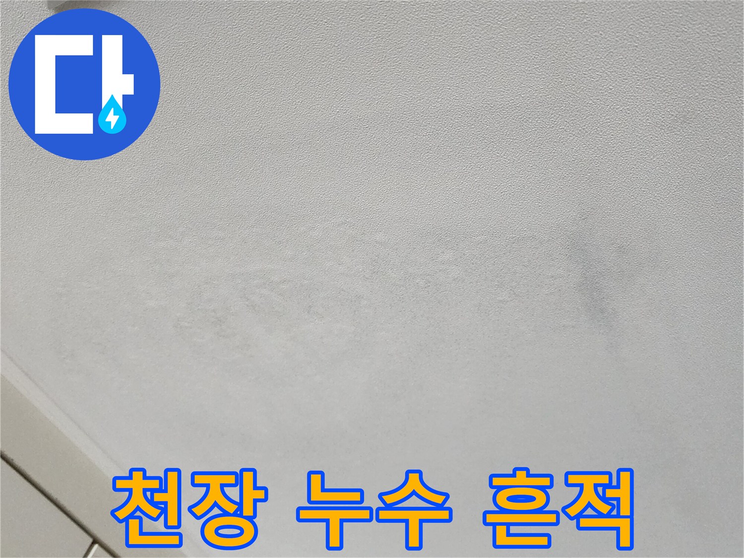 어둡게 변한 천장 벽지의 누수 피해 부위 상세